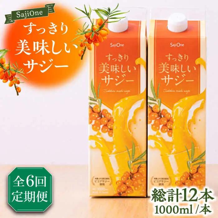 【全6回定期便】すっきり美味しいサジー 1000ml×2本 VAX039 サジージュース