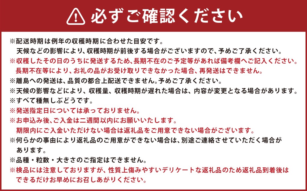 たっぷり日光を浴びたみずみずしい 種無しぶどう3種セット （シャインマスカット＋旬なぶどう） 2kg