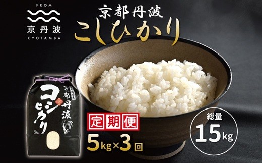 【3カ月定期便】≪先行予約≫京丹波こしひかり 5kg×3カ月連続 合計15kg 令和8年産 京都 米 精米 コシヒカリ ※北海道・沖縄は配送不可 [030MB001R]