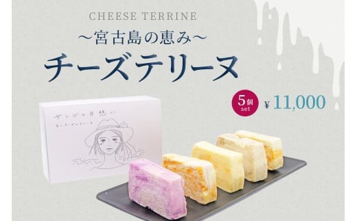 
            AYT002　～宮古島の恵み～ チーズテリーヌ 5個セット
          
