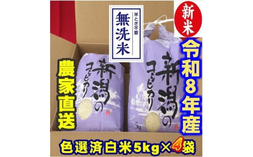 【令和8年産新米】 新潟県産 「従来こしひかり」 無洗米 20kg（5kg×4袋） 阿賀野市産 中島農場 精米 新潟県 米 こめ コメ お米 ごはん ご飯 農家直送 色彩選別済 新米 令和8年産   3R22053