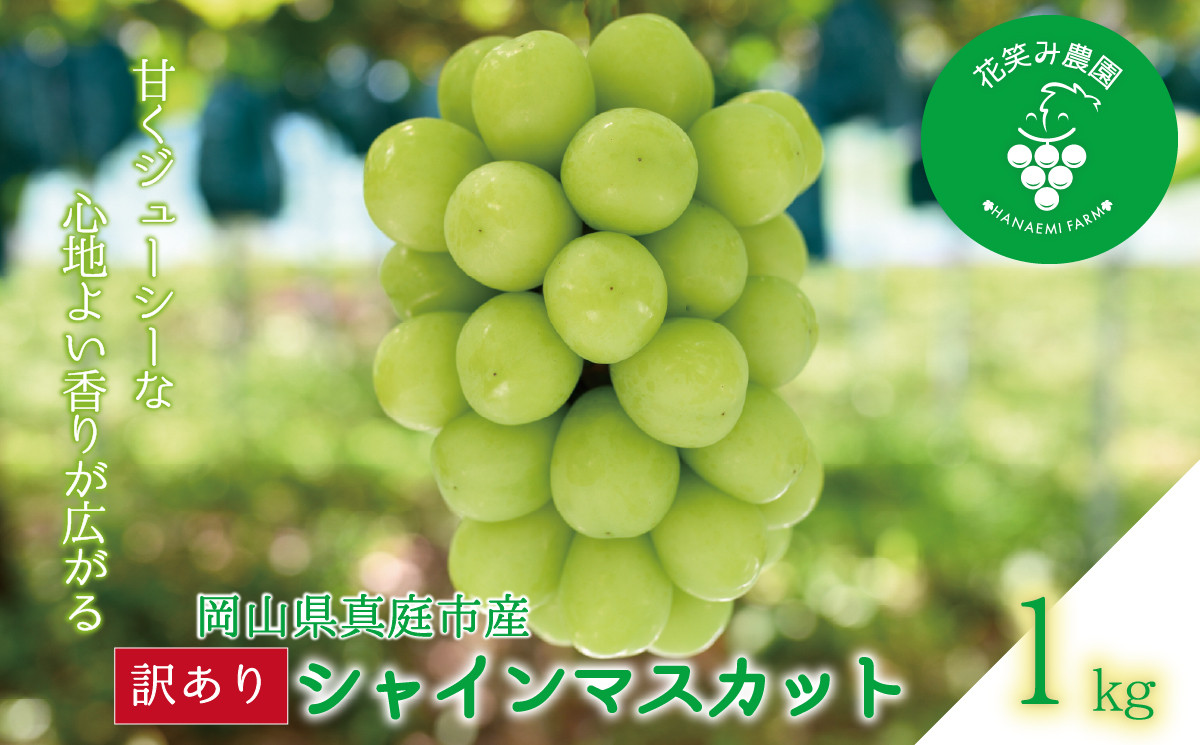 
            hana35.岡山　花笑み農園の 訳あり『シャインマスカット』1kg
          