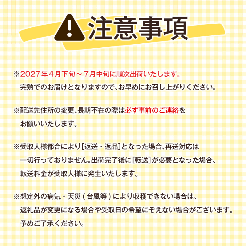 数量限定 宮崎県産 完熟マンゴー＜太陽のタマゴ＞4L×2玉 計1kg以上 ※2027年4月下旬配送開始 化粧箱入 フルーツ くだもの【E169-27】_イメージ5