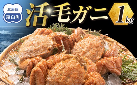 【先行予約】三特 冷蔵 活毛ガニ 1kg(300g～500g×2～3尾)(26年4月発送開始予定)
