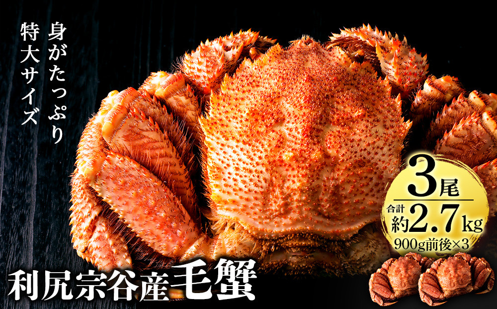 
            【2025年4月以降発送】北海道 利尻・宗谷産 毛ガニ 特大サイズ（900g前後） 3尾セット＜利尻漁業協同組合＞
          