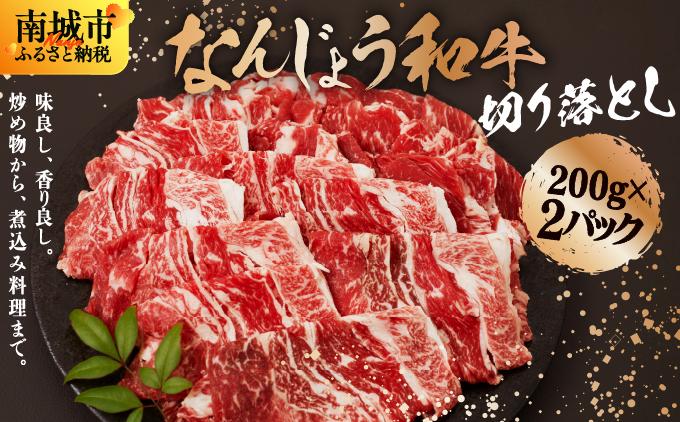 《使い勝手抜群!!》 和牛切り落とし 200g×2パック なんじょう和牛 合計400g |黒毛和牛 和牛 切り落とし モモ ウデ バラ 沖縄県 南城市 牛肉【TM03】