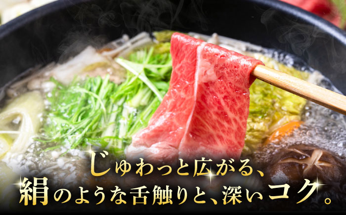 A5等級 飛騨牛 モモスライス 500g 瑞浪市 / マルチョウ渡辺精肉店 牛肉 和牛 国産 ギフト お取り寄せ すきしゃぶ [AZCW023] 500g