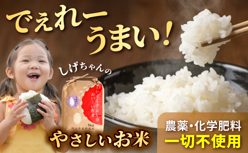 【令和7年産】米 完全無農薬・化学肥料不使用 ミルキークイーン 5kg 蒜山高原しげちゃん農園 / 米 白米 無農薬 新米 岡山県 真庭市 蒜山【hsig008-01】