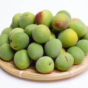 ＜6月より発送＞家庭用 紀州南高梅(青梅)3kg+90g(傷み補償分)【梅干し】【訳あり】【配送不可地域：離島・北海道・沖縄県】【1350517】