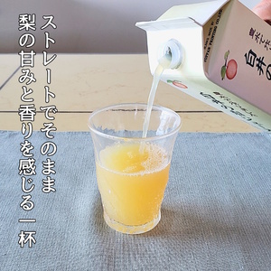 白井の梨ジュース 1,000ml 6本セット 梨果汁100% ストレートジュース