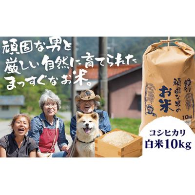 ふるさと納税 山口市 頑固な男のお米(コシヒカリ)白米10キログラム D364