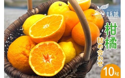 【2026年2月初旬～発送】大長プロジェクト 大長娘 柑橘詰め合わせ 約10kg　柑橘 かんきつ 産地直送 お取り寄せ 広島県 呉市 ku161-010-25