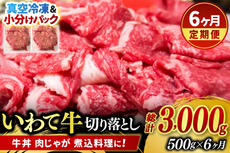 ＼6ヶ月連続 定期便／ 切り落とし 肉 牛肉 小分け 真空冷凍 いわて牛 500g (総計 3,000g) 岩手県産 和牛 牛肉 黒毛 和牛 切り落とし肉 大容量 肉 すき焼き 肉じゃが 煮込み 煮物 赤身 国産牛 小分け 冷凍 数量限定 (AB100)