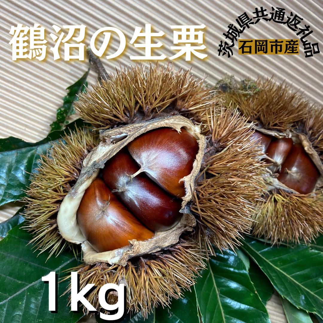 
石岡鶴沼の 生栗　1kg（茨城県共通返礼品・石岡市産）
