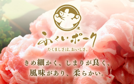 定期便 ≪3ヶ月連続お届け≫「福井県ブランド豚」ふくいポーク 切り落とし 1kg（500g × 2P）× 3回（計3kg）【銘柄豚 福井県産 ポーク 豚肉 ぶたにく 使い勝手抜群 ぶた丼 豚汁 生姜焼