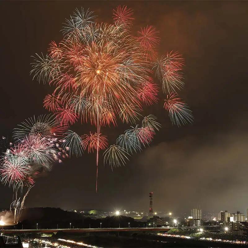 【2026年8月1日(土)】第110回足利花火大会 駐車場 駐車券＜1台分＞ 花火大会 花火 イベント 行事 夏 栃木県 足利市 F7Z-1405