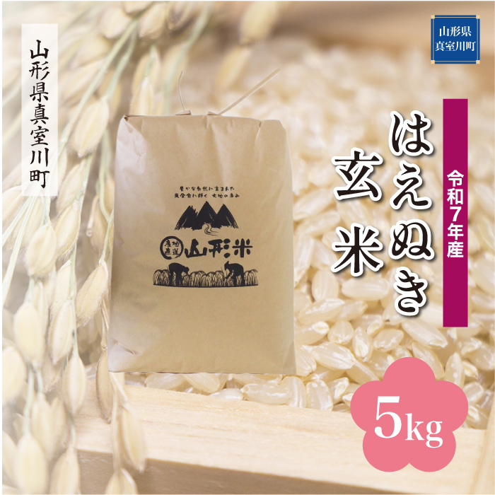 ＜令和7年産米＞ はえぬき 【玄米】 5kg （5kg×1袋） 配送時期指定できます！ 山形県真室川町
