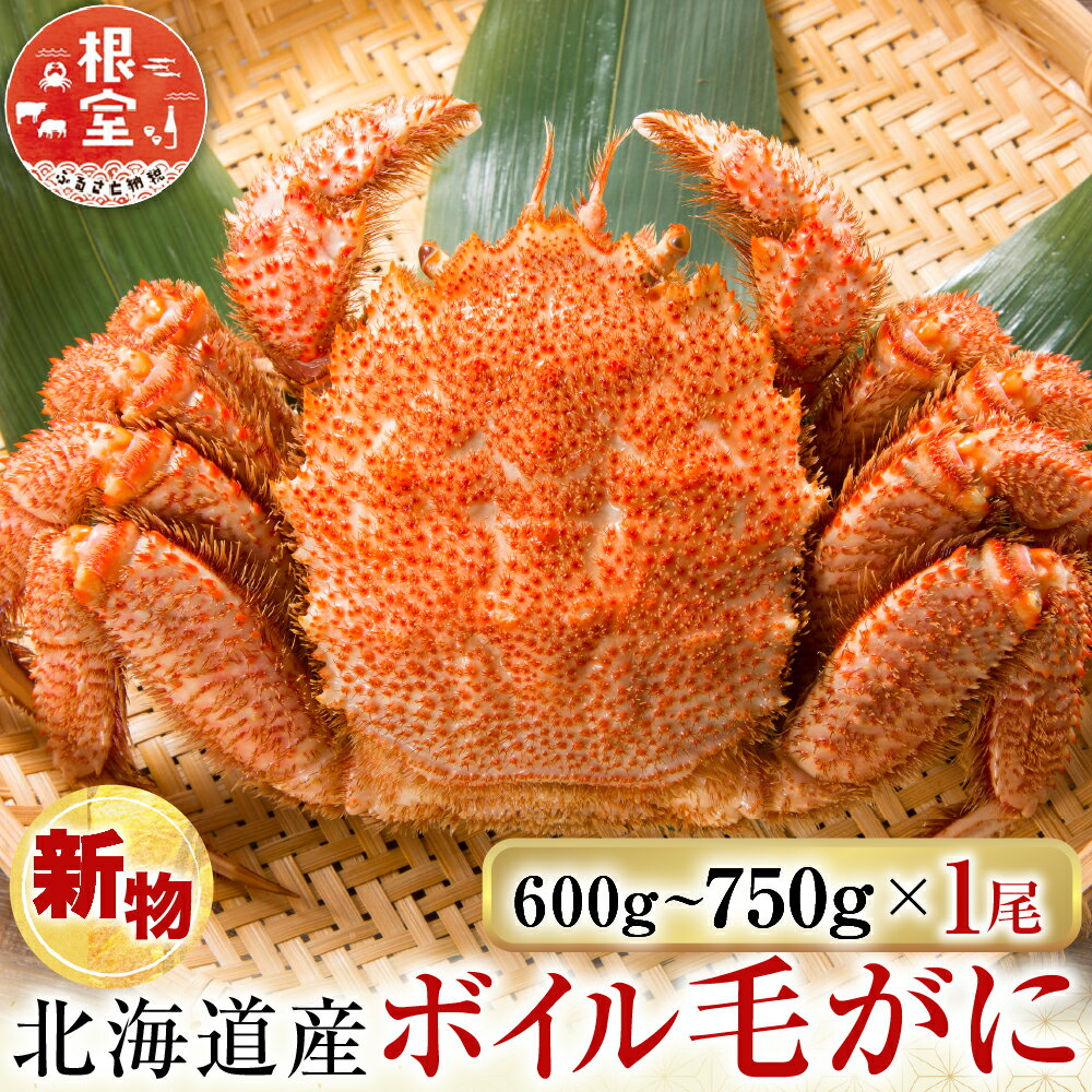 【ふるさと納税】根室海鮮市場＜直送＞ボイル毛がに600～750g×1尾 B-28124