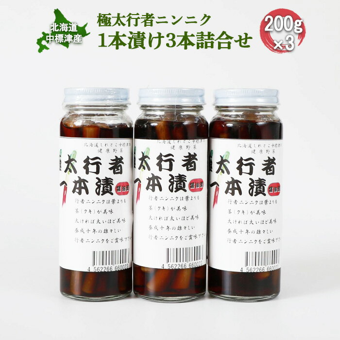 【ふるさと納税】極太行者ニンニク 1本漬け 200g 3本 セット オンライン 申請 ふるさと納税 北海道 中標津 行者ニンニク 行者にんにく 幻の山菜 山菜 山の幸 野菜 万能 調味料 疲労回復 健康効果 長寿 体力増強 ご飯のお供【20003AA0101】