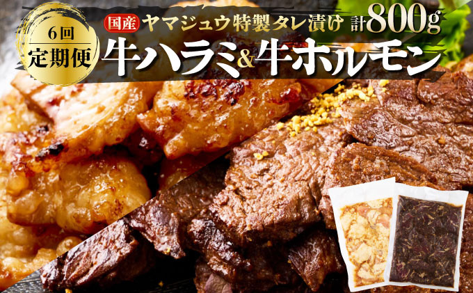 
            ヤマジュウの特選タレ漬け！牛ハラミ肉＆国産牛ホルモン計８００ｇ【６回定期便】 頒布会
          
