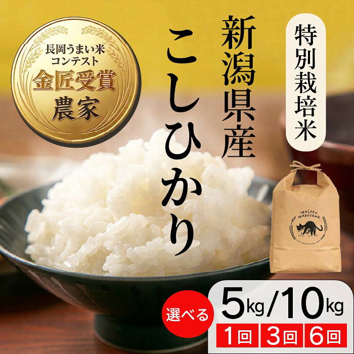 【ふるさと納税】令和8年産 新米 米 定期便 5kg 10kg 新潟 コシヒカリ 選べる 1回 3回 6回 3ヶ月 6ヶ月 新潟こしひかり 精米 白米 お米 新潟県長岡産 特別栽培米コシヒカリ 与板（稲作まる山）