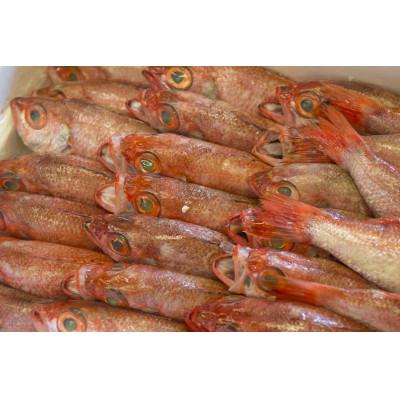ふるさと納税 浜田市 【2025年6月上旬発送】大秀商店の「干しのどぐろ(200g〜240g)」個包装6尾入り |  | 02