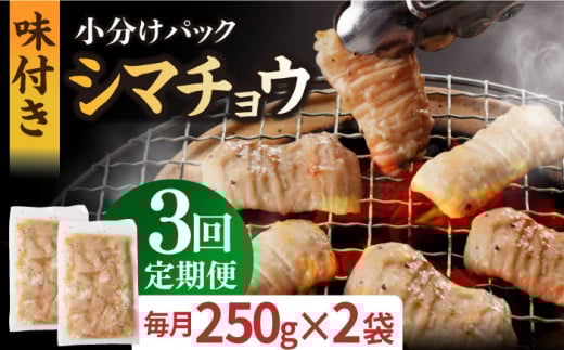 【全3回定期便】【塩だれ】 九州産和牛 ホルモン シマチョウ 500g（250g×2袋）長与町/岩永ホルモン [EAX101] ホルモン焼き 国産 牛肉 ホルモン シマチョウ 小分け 味付き 冷凍 焼肉 焼き肉 和牛 塩 しお 牛 定期便 ていきびん 定期