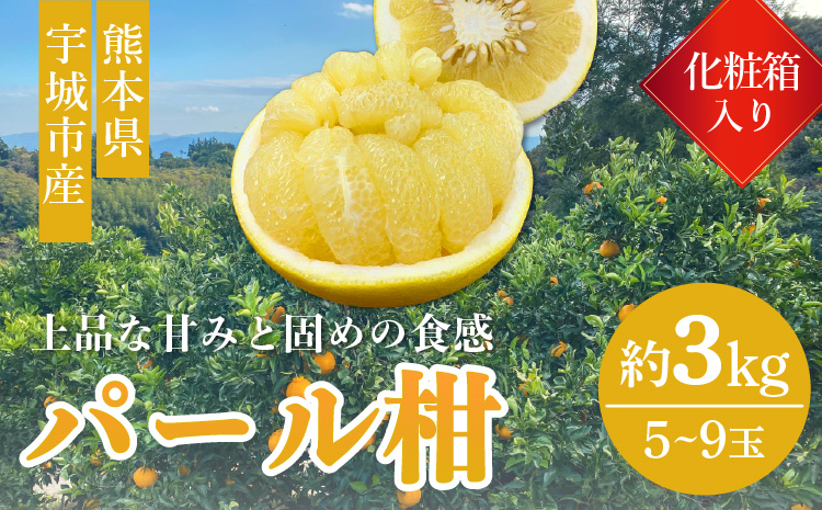 宇城市 パール柑（化粧箱入り）3kg 高橋果樹園【2026年3月上旬から4月下旬発送予定】ぱーるかん 柑橘 フルーツ 果物 くだもの