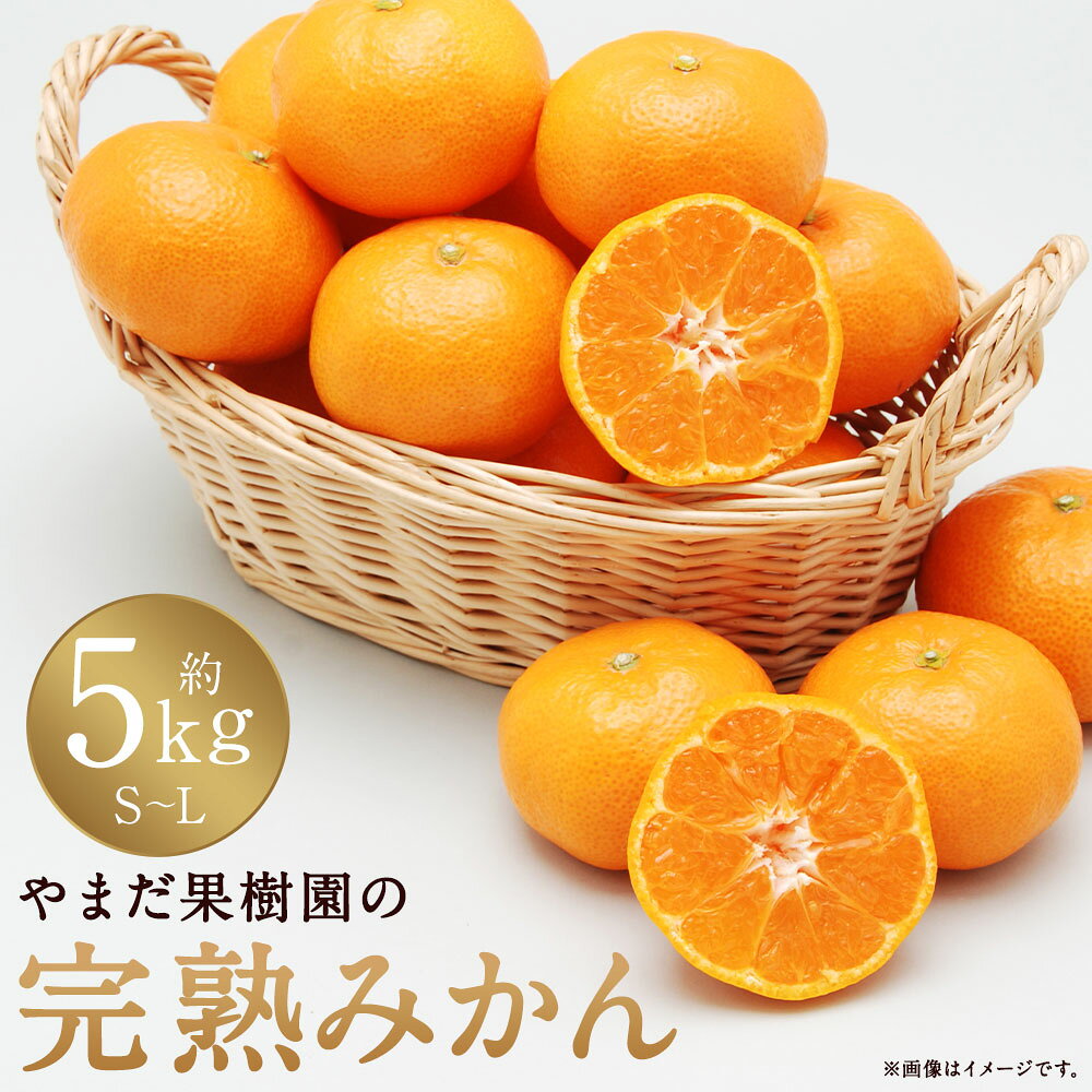 【ふるさと納税】L32x1 やまだ果樹園の完熟みかん　5kg 【2026年11月上旬-2027年1月上旬発送予定】