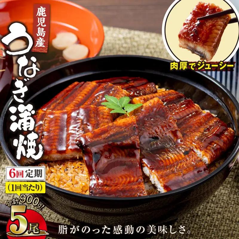 【 全6回 定期便 】 鹿児島産 うなぎ 蒲焼 180g×5尾 清らかな 地下水 育ち！ KN021-T42 ウナギ 鰻 冷凍