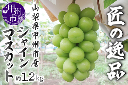 匠の逸品 シャインマスカット 約1.2kg（2～3房入り）【2026年発送】（NK）B-422 シャインマスカット フルーツ