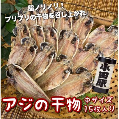 ふるさと納税 小田原市 鯵の干物 中サイズ 15枚セット 程よいサイズで朝食にも夕食にも使いやすい!【神奈川県小田原市早川】