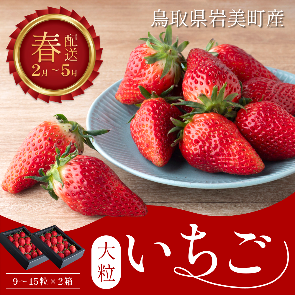 【2027先行予約】米村農園「大粒いちごA」 9～15粒程度×2セット 発送は2027年2月以降｜鳥取 岩美 苺 いちご イチゴ あきひめ、とっておき、紅ほっぺ、さちのか、のいずれか【42001】