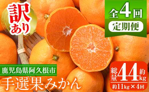 ＜先行予約受付中！定期便・全4回(10月・11月・12月・1月)＞＜訳あり・不揃い＞鹿児島県産！手選果みかん(総量約44kg・約11kg×4回) 国産 蜜柑 柑橘 果物 フルーツ ミカン 旬 冬 ご家庭用 おすそ分け【三笠農業生産】akn051-16