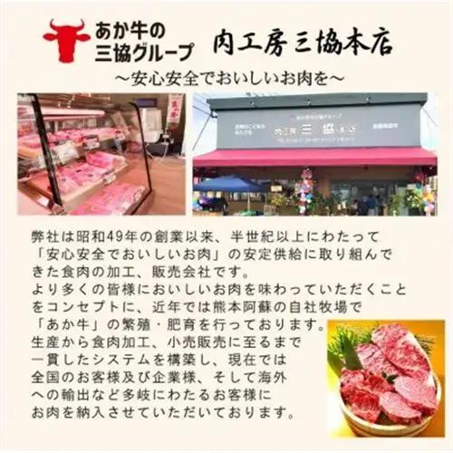 くまモンあか牛ハンバーグセット(あか牛ハンバーグ120g×6個)(益城町)【配送不可地域：離島】【1526893】