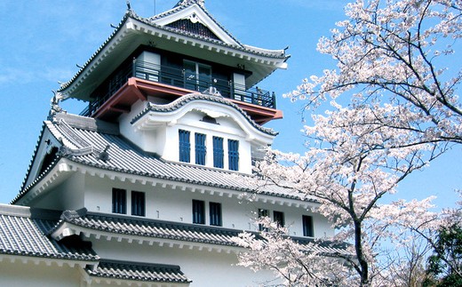 四万十市郷土博物館