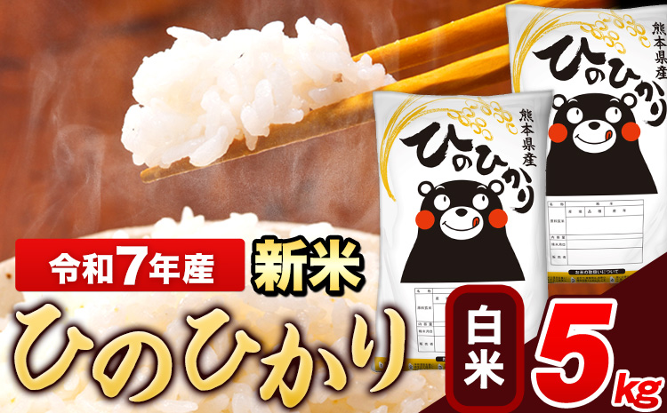 新米 米 令和7年産 ひのひかり 白米 5kg 《12月中旬-2月末頃出荷》 5kg×1袋 熊本県産 米 精米 ひの 長洲町