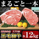 【ふるさと納税】鹿児島県産黒毛和牛＜A5等級＞きりしま畜産厳選！黒毛和牛特選サーロインまるごとブロック1本約12kg！牛肉 サーロイン ブロック肉 国産 鹿児島県産 黒毛和牛 肉 精肉【きりしま畜産】