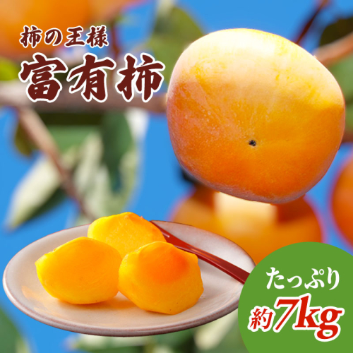 柿の王様 富有柿 たっぷり7kg 果物類