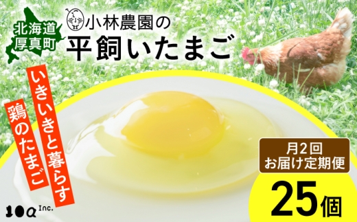 【月2回・全12回定期便】【常温配送】小林農園の平飼いたまご・無投薬 25個《厚真町》【テンアール株式会社】 有精卵 卵 鶏卵 玉子 生卵 平飼い 北海道 定期便 [AXAN039]