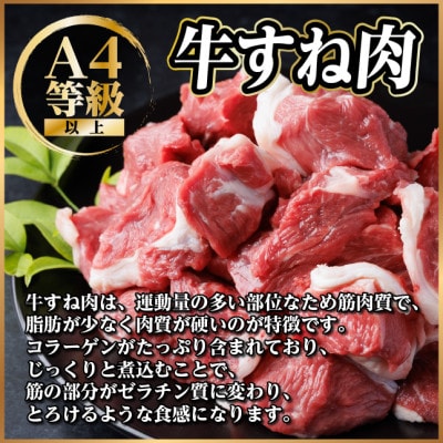 飛騨牛 厳選牛すね肉(スネ肉) 角切り 4kg(500g×8)  訳あり【配送不可地域：離島】