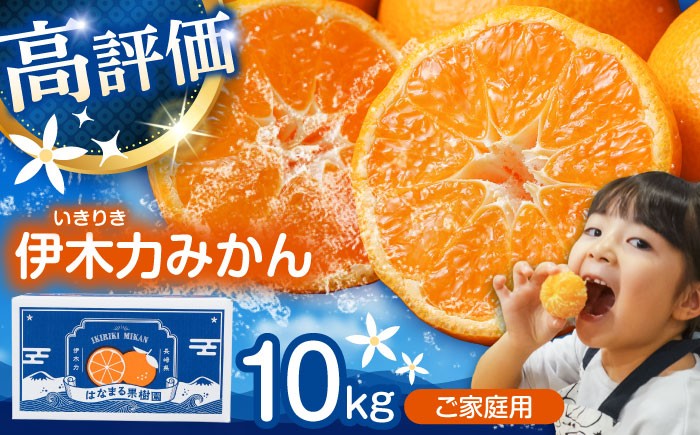 
                  ※【2026年10月下旬より順次発送／先行予約】伊木力みかん(家庭用) 10kg / みかん ミカン 蜜柑 オレンジ フルーツ ふるーつ 果物 くだもの いきりき / 諫早市 / 山野果樹園 [AHCF001]
                