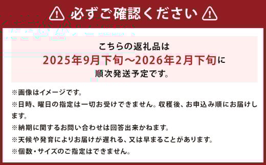 じゃがいも 男爵 Lサイズ 約10kg×1箱 計約10kg （JA） ジャガイモ 芋 いも イモ 国産 【2025年9月下旬-2026年2月下旬迄発送予定】_イメージ4
