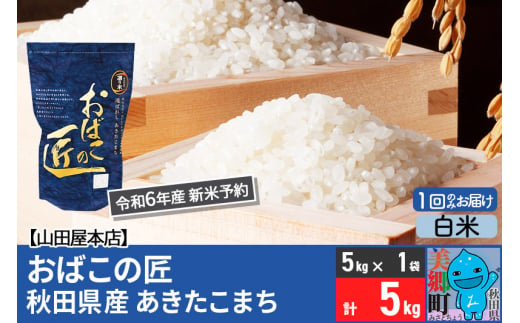 【白米】＜令和6年産 新米予約＞おばこの匠 秋田県産あきたこまち 5kg 秋田こまち お米