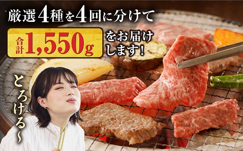 【定期便全4回】宮崎牛づくしコース
