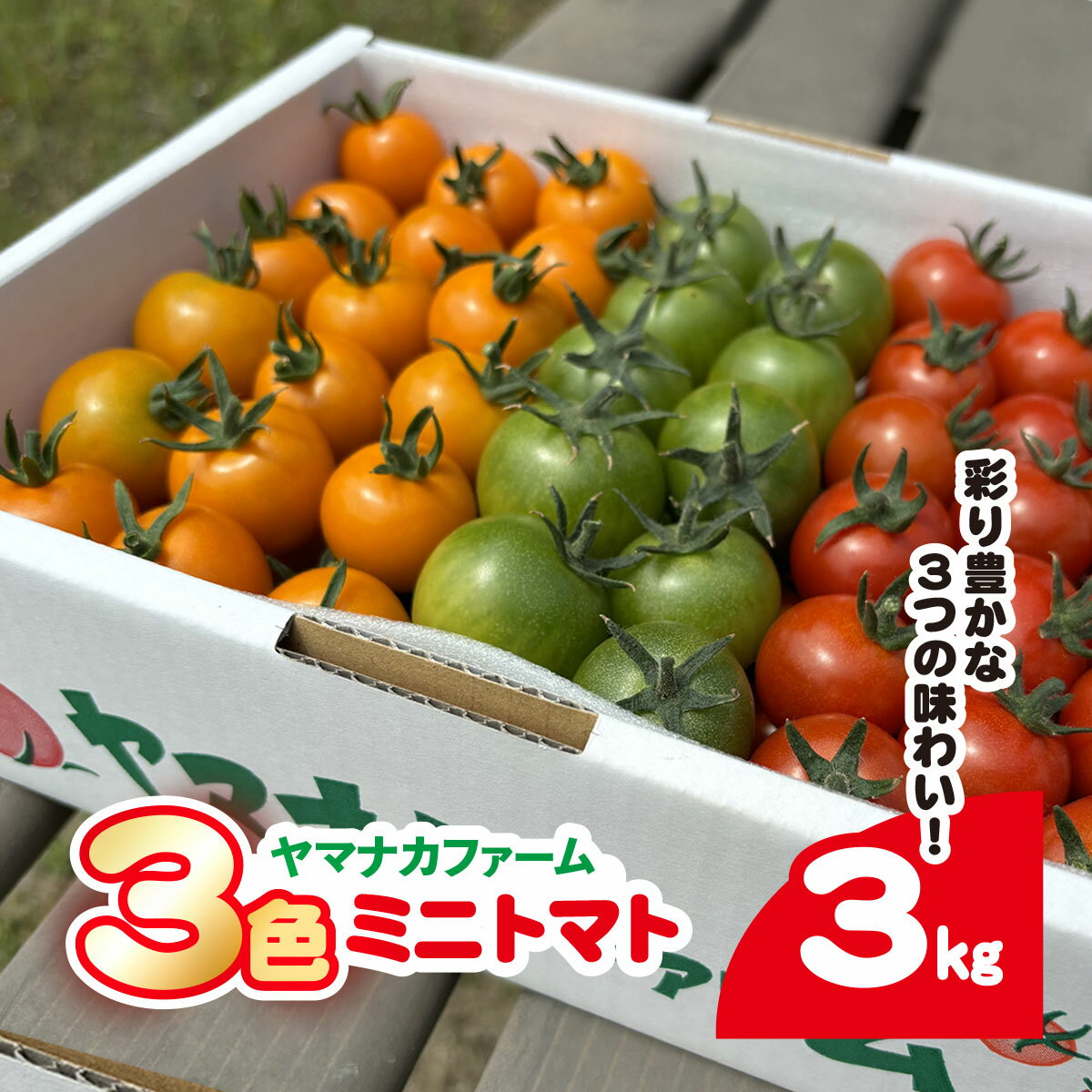 【ふるさと納税】3色ミニトマト　3kg（1.5kg×2箱） SHAK002 ふるさと納税 トマト リコピン サラダ イタリアン 健康 美容 送料無料 SHAK002