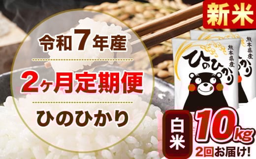 新米 令和7年産【2ヵ月定期便】白米 ひのひかり 計2回お届け 10kg 5kg×2袋《お申込み翌月から出荷》 熊本県産 精米 ひの 米 こめ ヒノヒカリ コメ お米 津奈木
