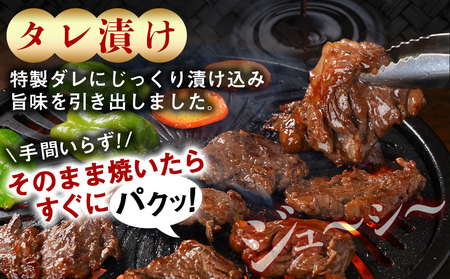 牛ハラミ タレ漬け900g_AA-3318_(都城市) 外国産 味付き牛ハラミ 300gパック 真空 小分け 900g