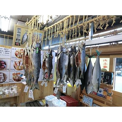 ふるさと納税 魚津市 フライパン焼きできる高級魚ブリの干物。「汐ぶり」魚津伝承の味 |  | 02