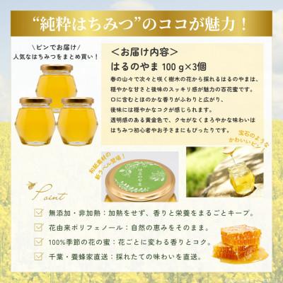 ふるさと納税 大網白里市 【数量限定】千葉県産「純粋はちみつ」はるのやま(百花蜜)100g×3個 |  | 03